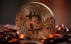 一枚金色比特幣硬幣被其他硬幣包圍在溫暖的光線中。