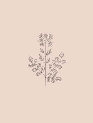 簡約線條藝術，植物帶有葉子和花朵，米色背景。