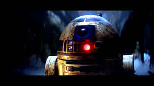 黑暗叢林中紅眼R2-D2機械人