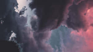 戲劇性的天空，帶有粉紅色和藍綠色調的深色雲彩，籠罩在樹梢之上。