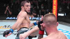 MMA拳手在八角籠比賽中執行高踢。 — 搏擊會 GIF 壁紙