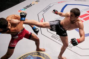 兩名MMA拳手在八角籠內的綜合格鬥比賽中行動。
