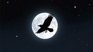 一隻黑烏鴉在星空下飛過滿月前