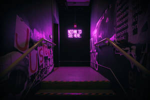 在佈滿塗鴉的樓梯間裡，紫色霓虹燈標誌寫著 notthin to see here。