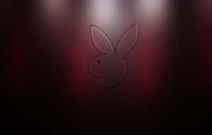 Playboy 圖片 — Playboy GIF 壁紙
