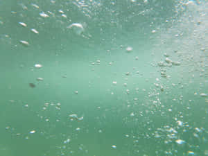 氣泡在陽光下清澈帶綠色的水中上升。 — 淺綠色美學動態圖 壁紙