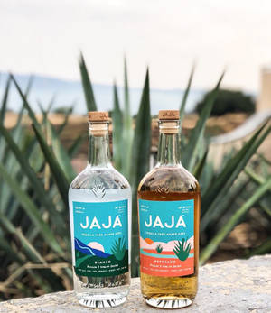 石上的兩瓶Jaja龍舌蘭酒blanco和reposado，後面有龍舌蘭和山脈。