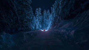 紅色汽車在星空下夜間穿過雪地森林 — 粉藍色 壁紙