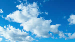 明亮的藍天中散佈著蓬鬆的白雲