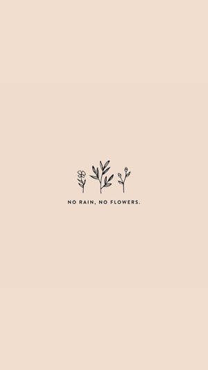 三種線條畫植物，帶有文字 no rain no flowers 在米色背景上。