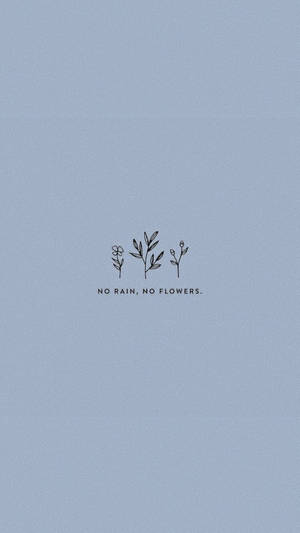 三棵線條畫植物，帶有文字 no rain no flowers，背景為藍色。