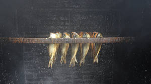 魚在煙霧瀰漫的工業燻製廠中掛起晾乾，水滴落下。 — 美食 壁紙
