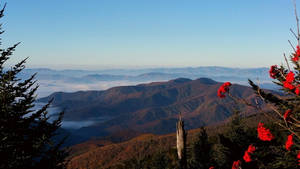 層疊的山峰，下方有霧，前景有紅花