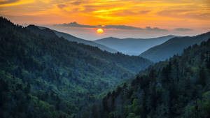 夕陽映照森林覆蓋的山脈，層層山脊與橙色天空