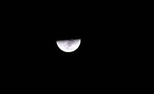 彎月在黑暗的夜空中明亮地閃耀。