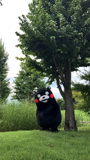 黑熊吉祥物，臉頰紅潤，站在靠近樹木的草地公園中。 — 綠樹 壁紙