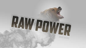一頭兇猛的熊在粗體文字 RAW POWER 後方咆哮，下方煙霧繚繞。
