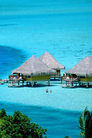 Overwater bungalows with thatched roofs surrounded by turquoise water and palm trees. — 美學波希米亞動態圖 壁紙