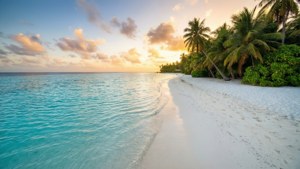 熱帶海灘日落，棕櫚樹和碧綠海水。 — 3840x1080 GIF 壁紙
