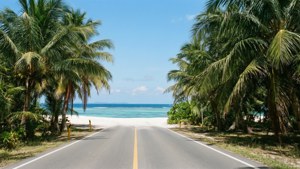 鋪砌的道路兩旁有棕櫚樹，通往白色沙灘和碧綠的海洋。