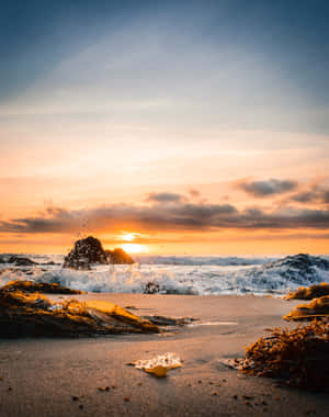 夕陽下的海洋，海浪拍打沙灘上的海藻