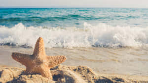 沙灘上的海星與海浪 — 夏天 壁紙