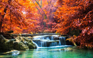 充滿活力的秋日森林，有層疊瀑布和清澈的碧綠海水。