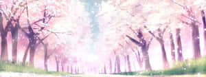 一條在柔和晨光下兩旁種滿櫻花樹的小徑。 — 黎明 壁紙