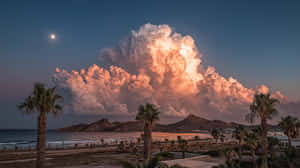 棕櫚樹框住黃昏的海灘，巨大的發光雲朵和月亮高懸於海洋之上。 — 島嶼 壁紙