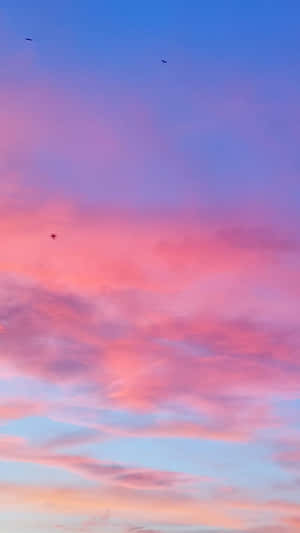 充滿活力的粉紅色和藍色日落天空，鳥兒飛翔