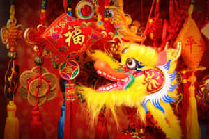 色彩繽紛的中國舞龍頭，配有節日紅色裝飾和金幣。 — 中國新年 壁紙