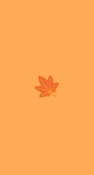 一片橙色楓葉在純橙色背景上。 — 花卉 iPhone 壁紙