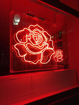 夜晚在玻璃展示櫃中發出紅光的霓虹玫瑰雕塑。