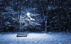 夜間，積雪覆蓋公園長椅，上方街燈閃爍。