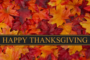 帶有「Happy Thanksgiving」文字橫幅的秋葉。