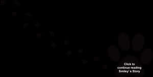 拉布拉多犬爪印小狗貓剪貼圖 - 狗透明爪印，高清PNG下載 — 腳印 壁紙