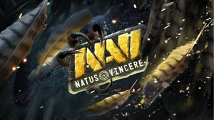 遊戲標誌Natus Vincere，帶有羽毛和火花在太空中 — 火影忍者海報 壁紙