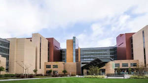 現代大學校園建築，米色和赤陶色牆壁，玻璃窗。