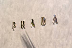 帶有紋理的牆壁上的金色Prada標誌字母和棕櫚樹影子。