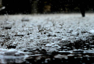 雨滴濺起並在濕漉漉的路面上形成漣漪。 — 雨 壁紙