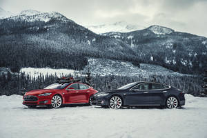 兩輛Tesla汽車停放在白雪覆蓋的山脈和常綠森林中。 — Tesla GIF 壁紙