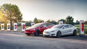 日落時分，兩輛特斯拉電動車在充電站充電。 — Tesla GIF 壁紙