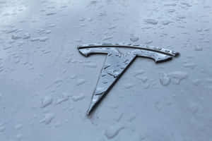 潮濕車頭蓋上嘅Tesla標誌，帶有雨滴