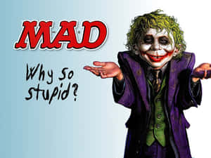 蝙蝠俠的小丑角色，綠色頭髮和紫色西裝，擺姿勢並帶有「Why so stupid?」文字。