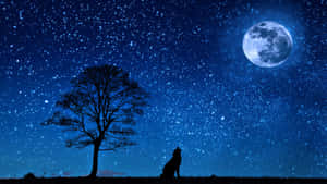 狼在滿月下對著星空和禿樹嚎叫。