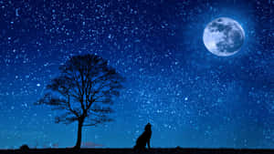 狼在滿月和星空下嚎叫 — 月色夜空 壁紙