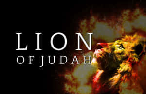 火焰中的獅子頭，深色背景上寫有文字「Lion of Judah」。 — 獅子王 GIF 壁紙