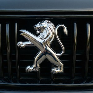 黑色汽車格柵上帶有垂直條紋的鍍鉻獅子標誌