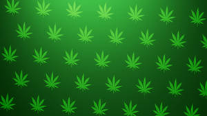 漸變綠色背景上的綠色大麻葉圖案。