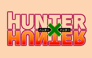 Hunter x Hunter 動畫標誌，帶有醒目漸變字體和綠色 X。